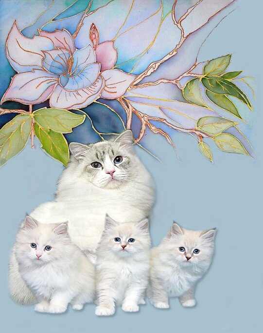 Невский Маскарадный котенок. Невские Маскарадные киска, коты и котята, питомник 